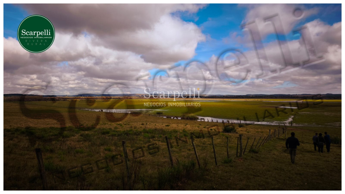 Campo Ref.50474 - VENTA CAMPO RIVERA 86 Hás Costa Rio Tacuarembó Ideal Cultivos Húmedos Arroz Soja etc.