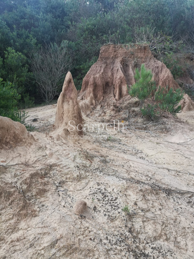 Campo Ref.46797 - Importante Chacra Marítima Proximo Cabo Polonio Uruguay con Playa practicamente privada en casi 1 km. de extensión frente al Océano Atlántico.-