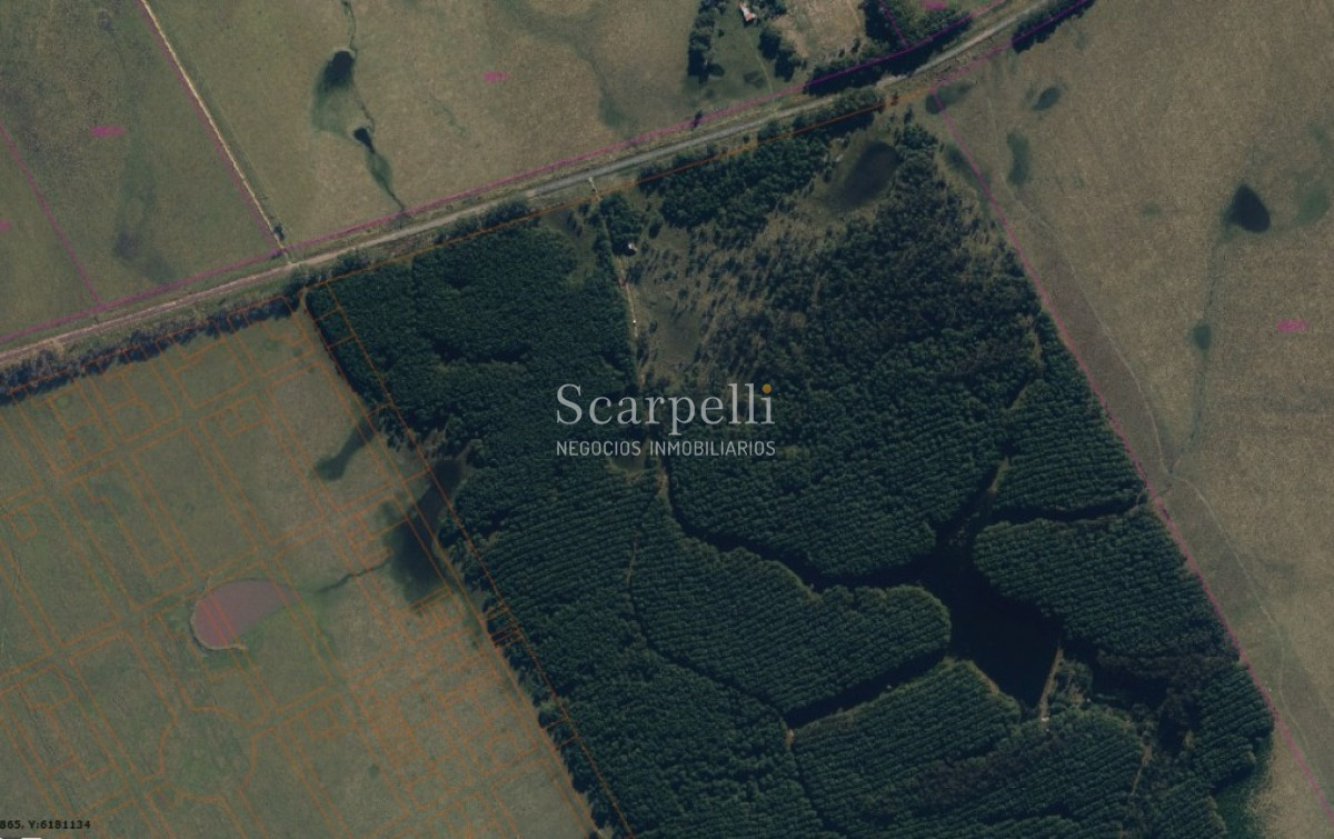 Campo Ref.46797 - Importante Chacra Marítima Proximo Cabo Polonio Uruguay con Playa practicamente privada en casi 1 km. de extensión frente al Océano Atlántico.-