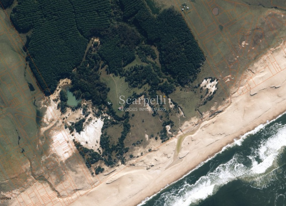 Campo Ref.46797 - Importante Chacra Marítima Proximo Cabo Polonio Uruguay con Playa practicamente privada en casi 1 km. de extensión frente al Océano Atlántico.-