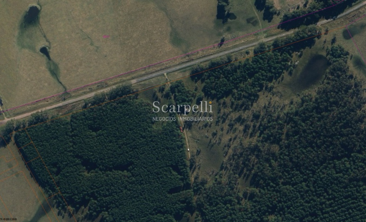 Campo Ref.46797 - Importante Chacra Marítima Proximo Cabo Polonio Uruguay con Playa practicamente privada en casi 1 km. de extensión frente al Océano Atlántico.-