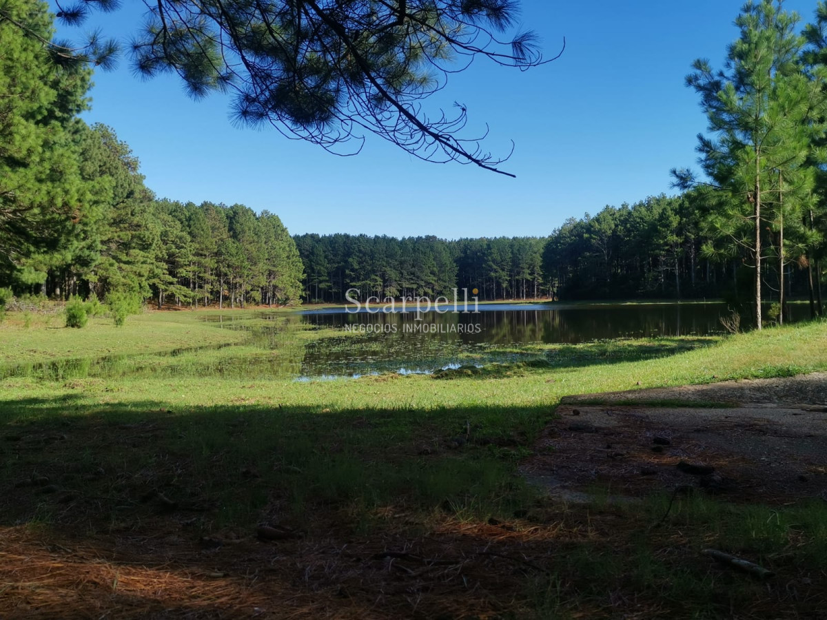 Campo Ref.46797 - Importante Chacra Marítima Proximo Cabo Polonio Uruguay con Playa practicamente privada en casi 1 km. de extensión frente al Océano Atlántico.-