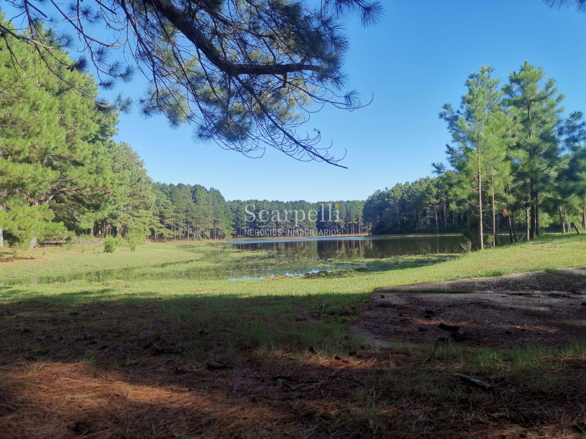 Campo Ref.46797 - Importante Chacra Marítima Proximo Cabo Polonio Uruguay con Playa practicamente privada en casi 1 km. de extensión frente al Océano Atlántico.-
