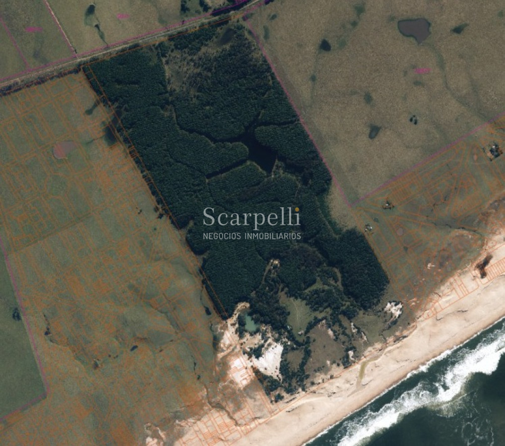 Campo Ref.46797 - Importante Chacra Marítima Proximo Cabo Polonio Uruguay con Playa practicamente privada en casi 1 km. de extensión frente al Océano Atlántico.-
