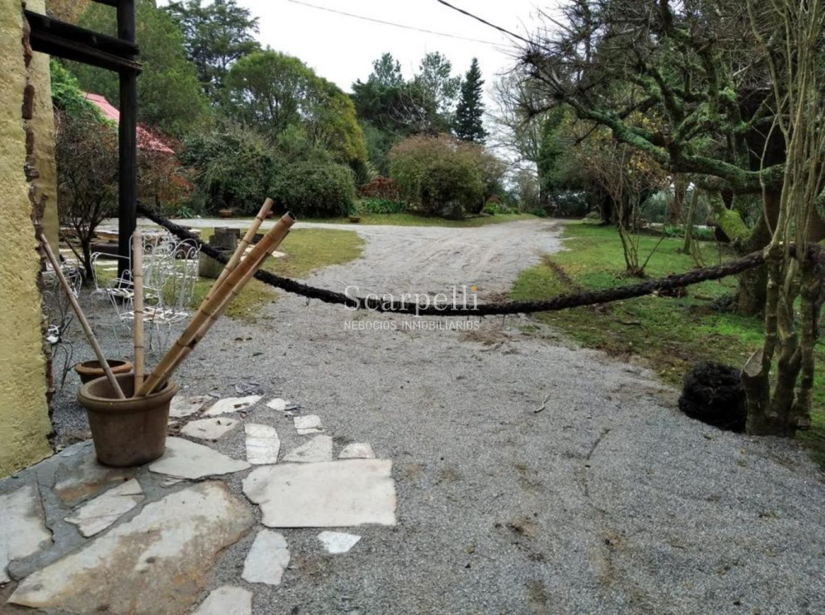 Campo Ref.48322 - Venta Campo Lavalleja 83 hás Próximo a Minas en muy pintoresco entorno ideal Fraccionamiento en Chacras Turísticas