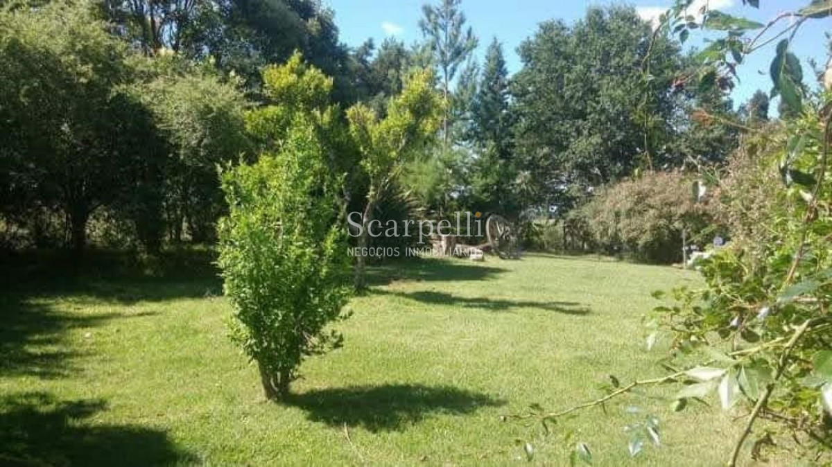 Campo Ref.48322 - Venta Campo Lavalleja 83 hás Próximo a Minas en muy pintoresco entorno ideal Fraccionamiento en Chacras Turísticas