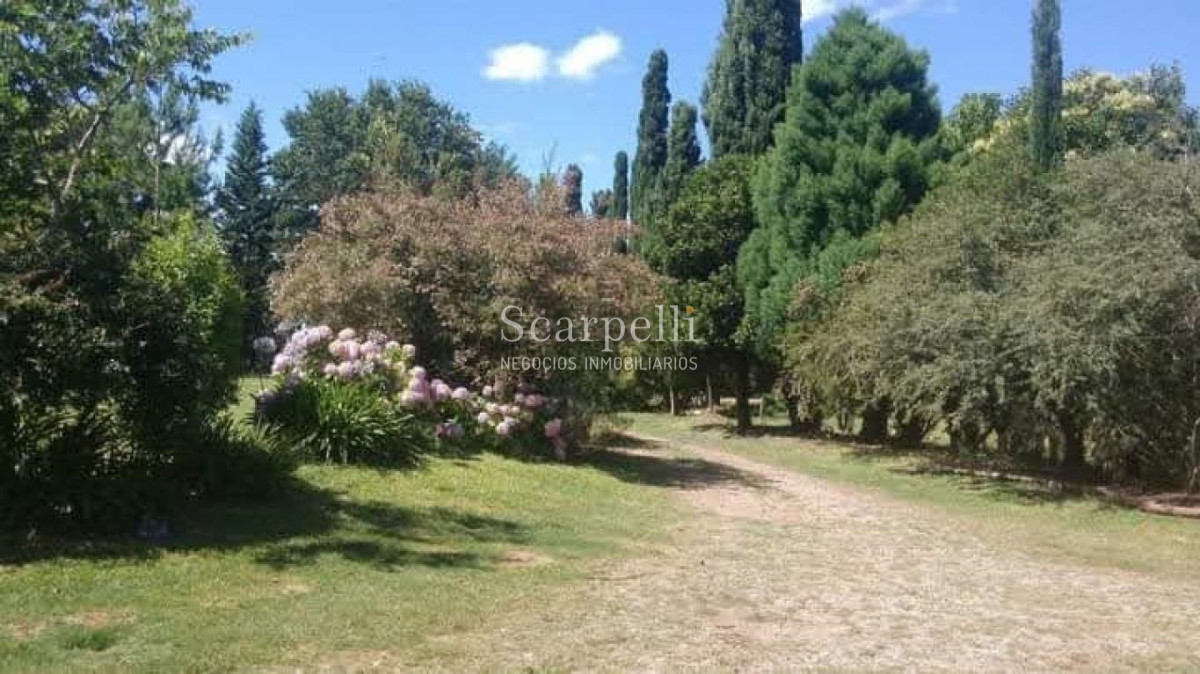 Campo Ref.48322 - Venta Campo Lavalleja 83 hás Próximo a Minas en muy pintoresco entorno ideal Fraccionamiento en Chacras Turísticas