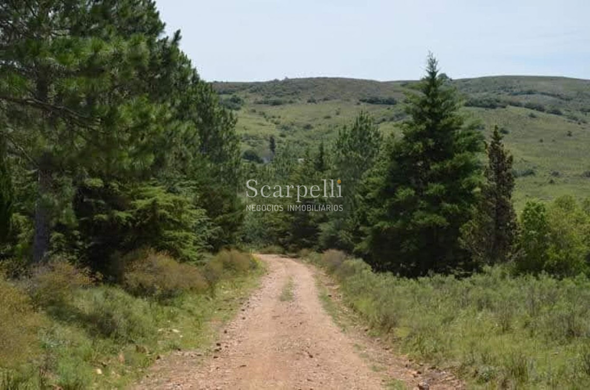 Campo Ref.48322 - Venta Campo Lavalleja 83 hás Próximo a Minas en muy pintoresco entorno ideal Fraccionamiento en Chacras Turísticas