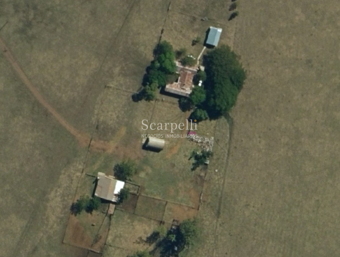 Campo Ref.49361 - Venta Campo Artigas 911 hás Ganadero Bueno próximo Baltasar Brum con instalaciones de trabajo.-