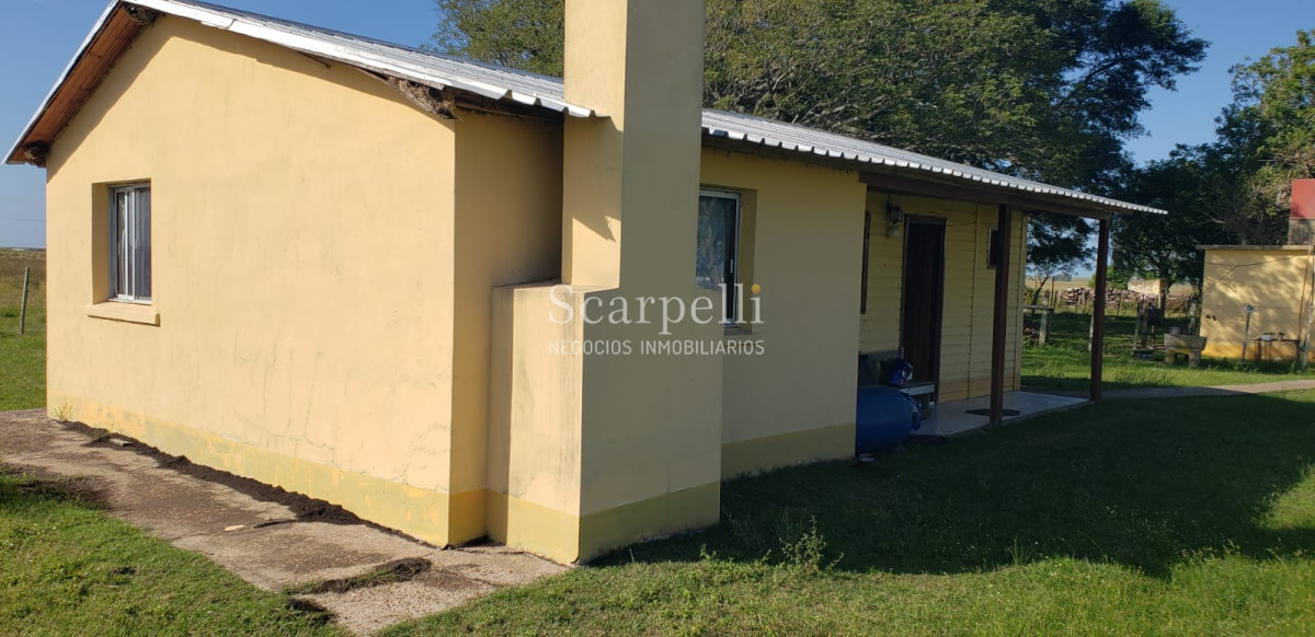 Campo Ref.49361 - Venta Campo Artigas 911 hás Ganadero Bueno próximo Baltasar Brum con instalaciones de trabajo.-