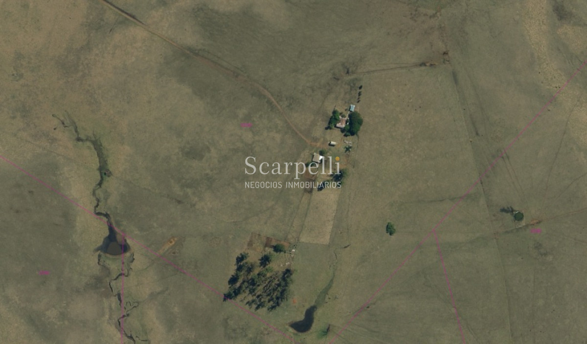 Campo Ref.49361 - Venta Campo Artigas 911 hás Ganadero Bueno próximo Baltasar Brum con instalaciones de trabajo.-