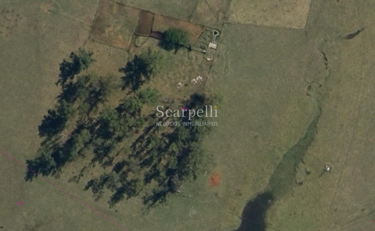 Campo Ref.49361 - Venta Campo Artigas 911 hás Ganadero Bueno próximo Baltasar Brum con instalaciones de trabajo.-
