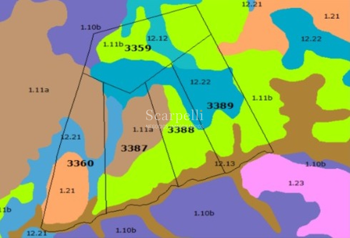 Campo Ref.49361 - Venta Campo Artigas 911 hás Ganadero Bueno próximo Baltasar Brum con instalaciones de trabajo.-