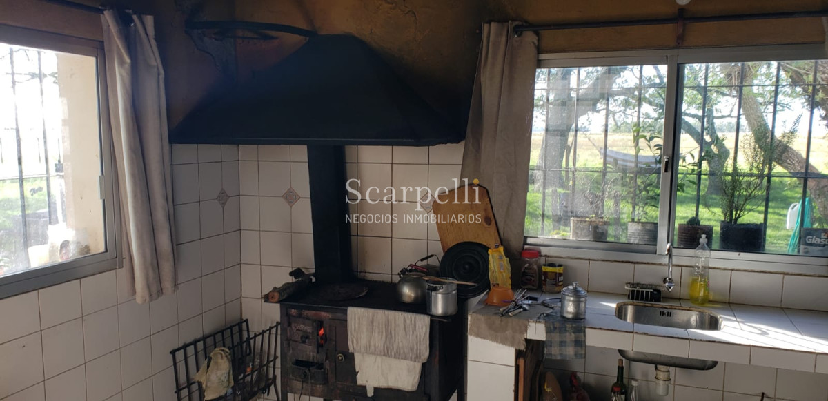 Campo Ref.49361 - Venta Campo Artigas 911 hás Ganadero Bueno próximo Baltasar Brum con instalaciones de trabajo.-