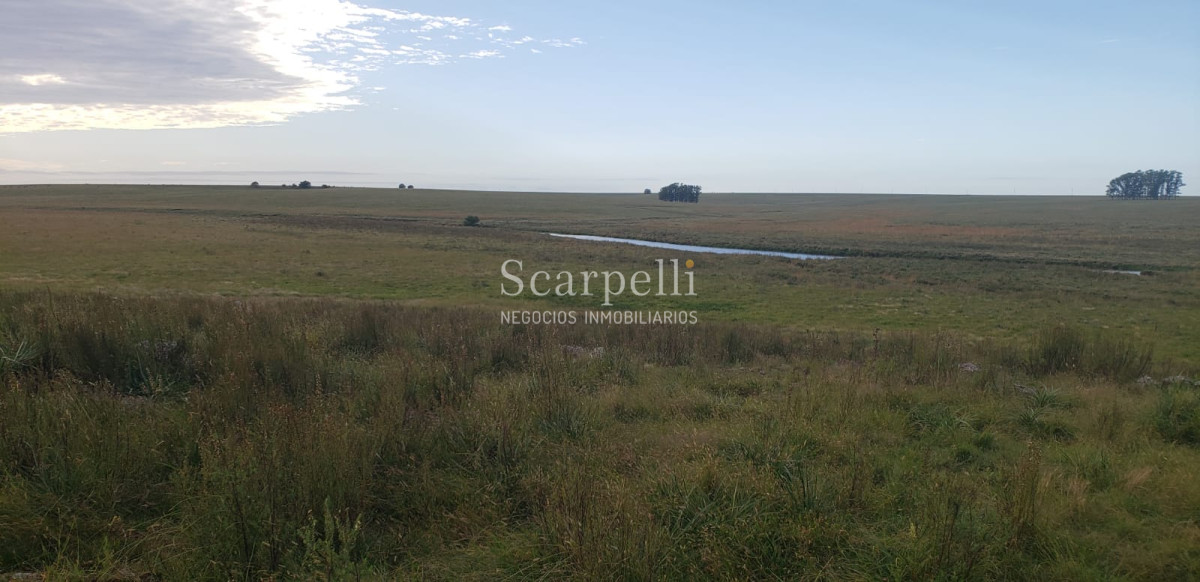 Campo Ref.49361 - Venta Campo Artigas 911 hás Ganadero Bueno próximo Baltasar Brum con instalaciones de trabajo.-