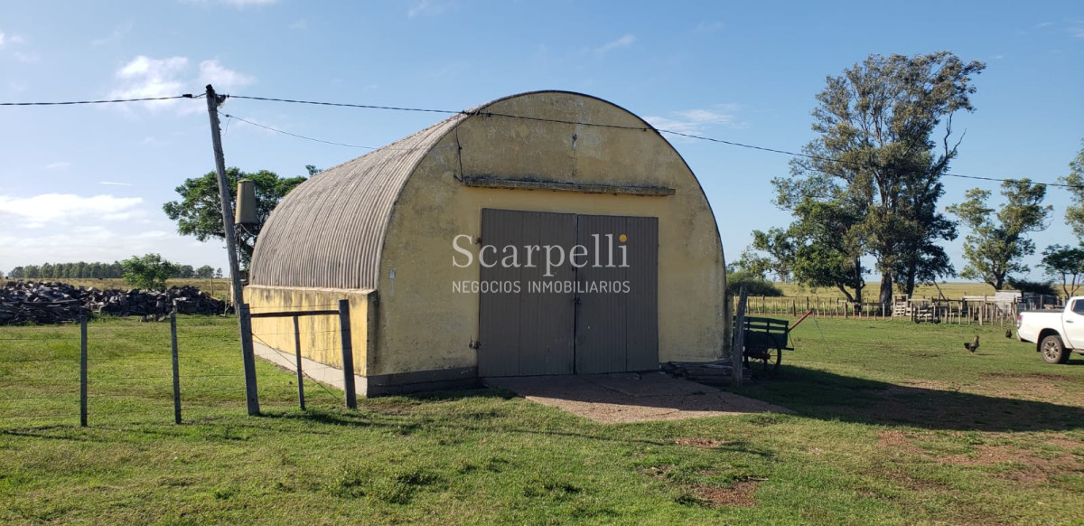 Campo Ref.49361 - Venta Campo Artigas 911 hás Ganadero Bueno próximo Baltasar Brum con instalaciones de trabajo.-