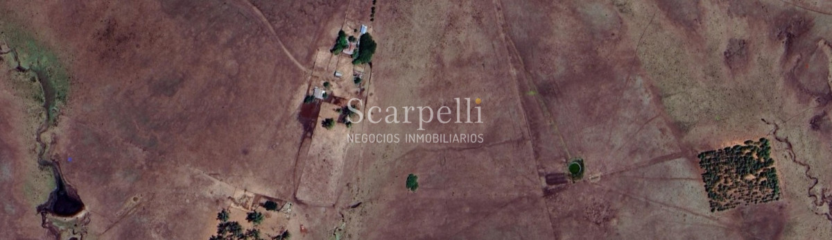 Campo Ref.49361 - Venta Campo Artigas 911 hás Ganadero Bueno próximo Baltasar Brum con instalaciones de trabajo.-