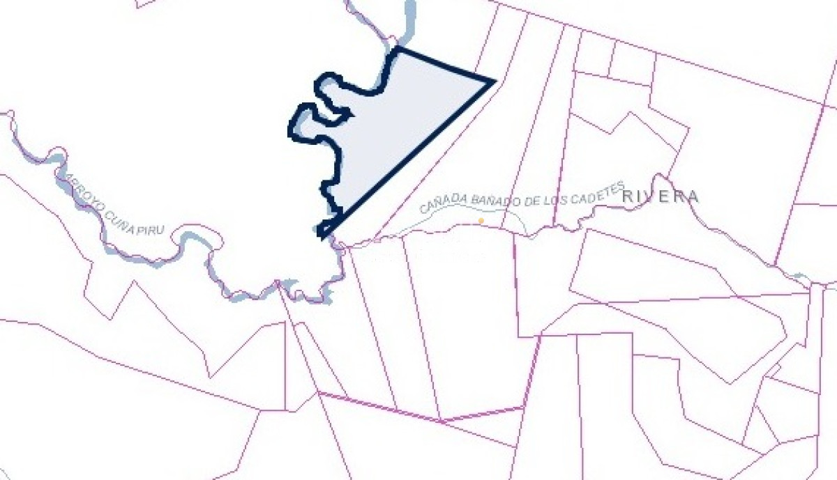 Campo Ref.49687 - Rivera: Campo 112 hás con costas al Arroyo Cuñapirú