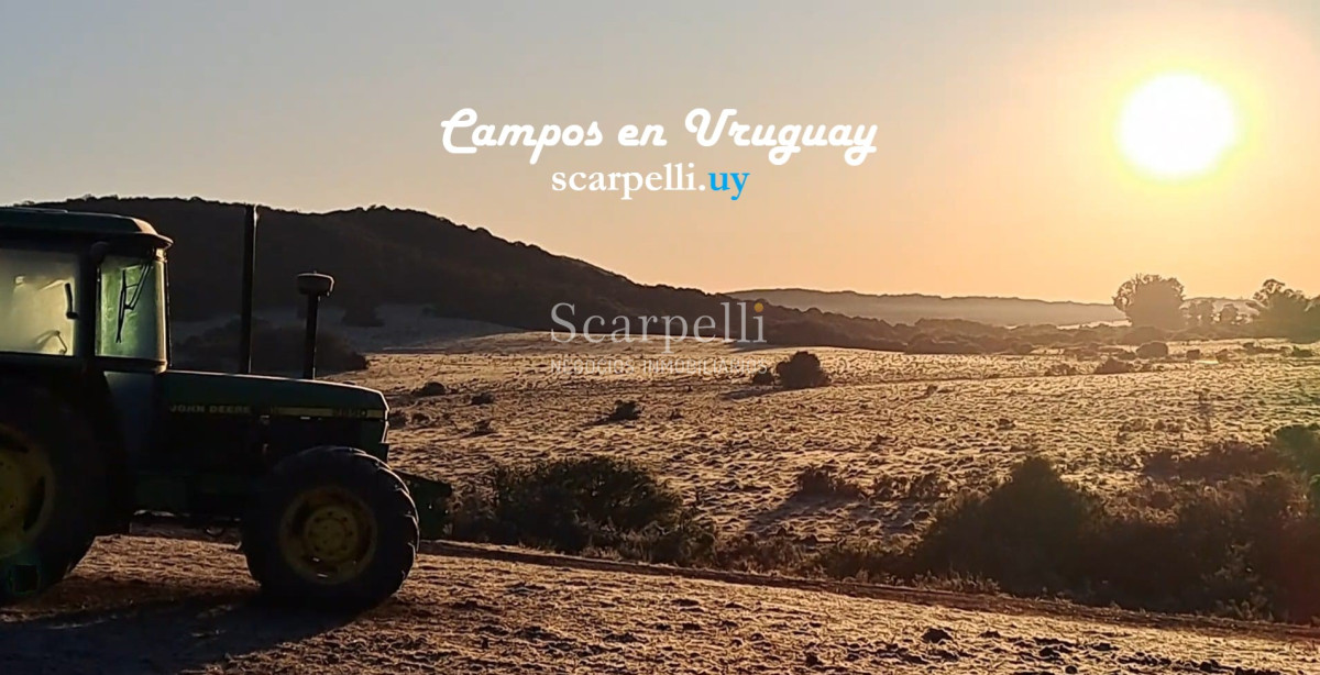 Campo Ref.49687 - Rivera: Campo 112 hás con costas al Arroyo Cuñapirú
