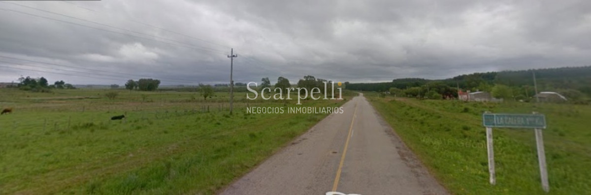 Campo Ref.49687 - Rivera: Campo 112 hás con costas al Arroyo Cuñapirú
