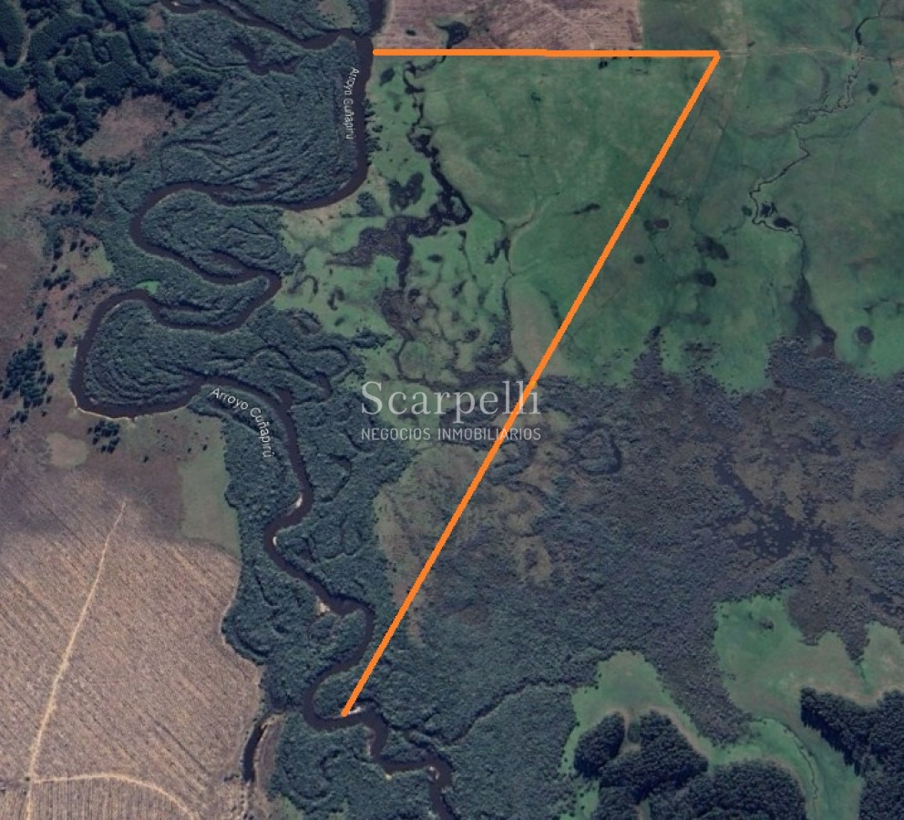 Campo Ref.49687 - Rivera: Campo 112 hás con costas al Arroyo Cuñapirú