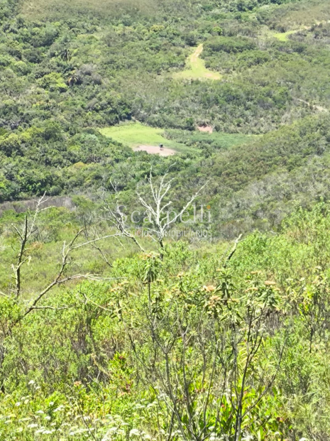 Campo Ref.50624 - Campo en Rural, 