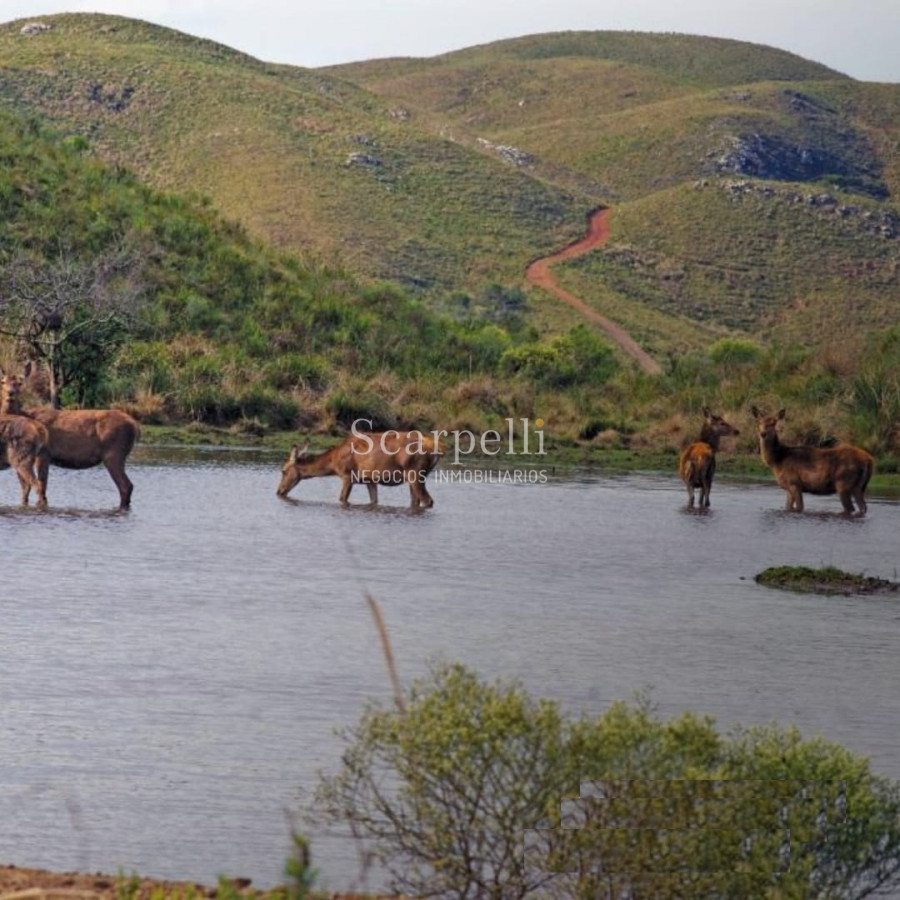 Campo Ref.50624 - Campo en Rural, 