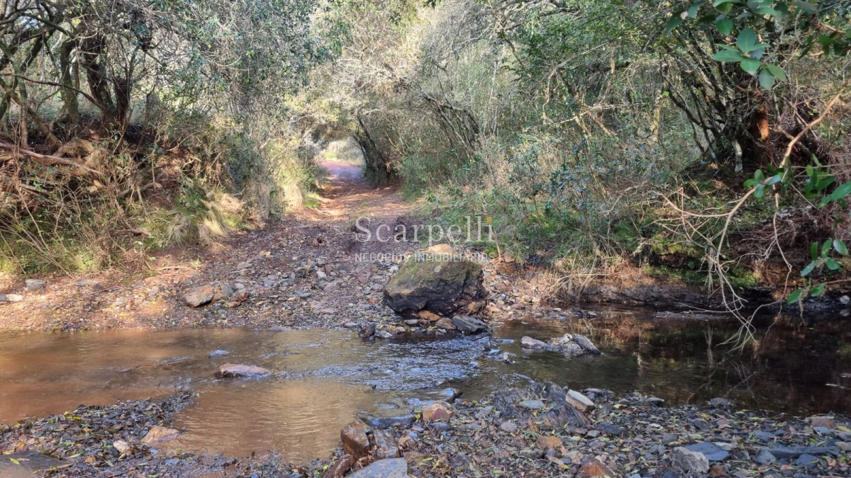 Campo Ref.50624 - Campo en Rural, 