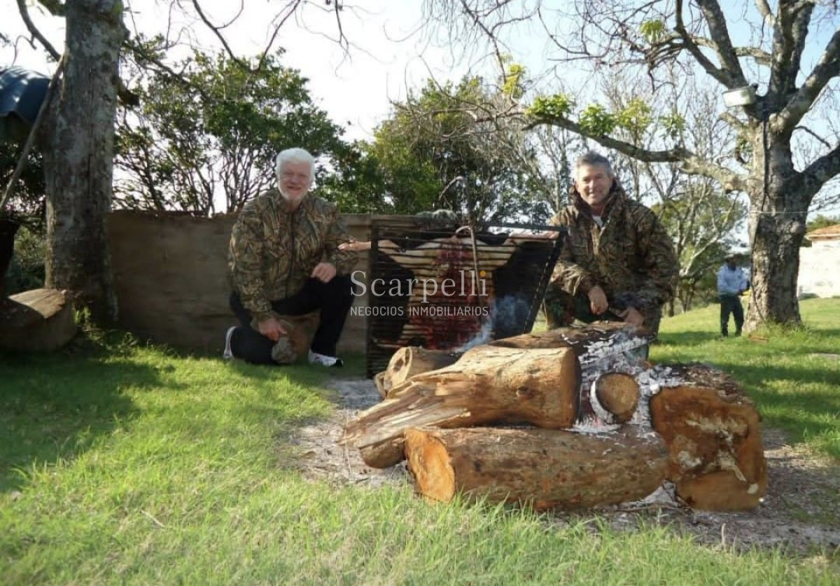 Campo Ref.50624 - Campo en Rural, 