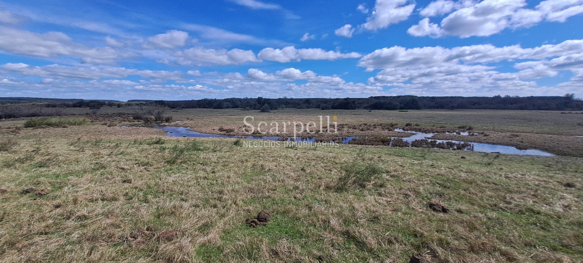 Campo Ref.50339 - Venta Campo Rivera Ruta 27  Cerros de la Calera 112 hás