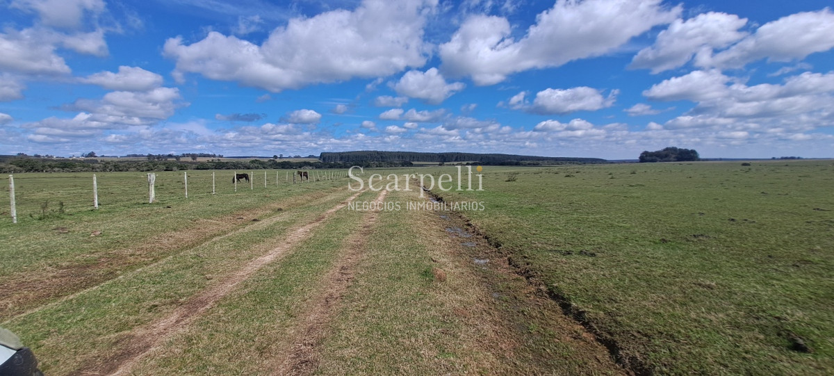 Campo Ref.50339 - Venta Campo Rivera Ruta 27  Cerros de la Calera 112 hás