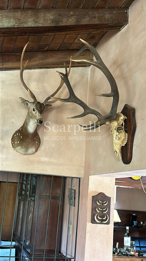 Campo Ref.50624 - Campo en Rural, 