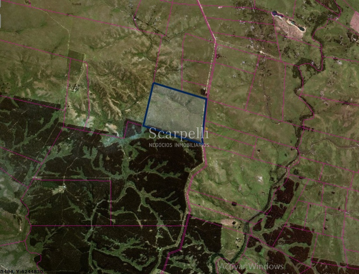 Campo Ref.7401 - Campo de 106 hás en Florida: Arroyo Cabrera a 14 kms Ruta 7:  U S 2900 / há