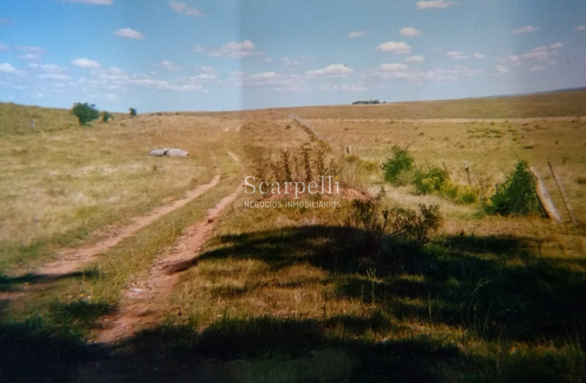 Campo Ref.7401 - Campo de 106 hás en Florida: Arroyo Cabrera a 14 kms Ruta 7:  U S 2900 / há