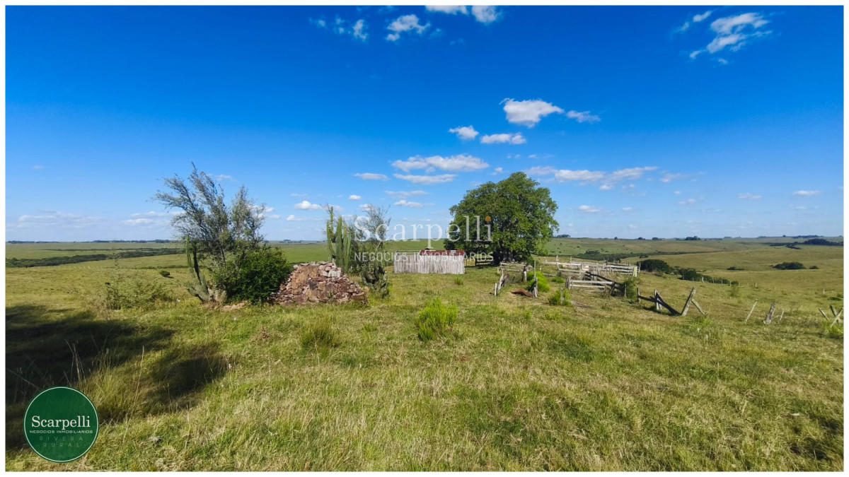Campo Ref.50563 - Campo con costa al arroyo Yaguarí