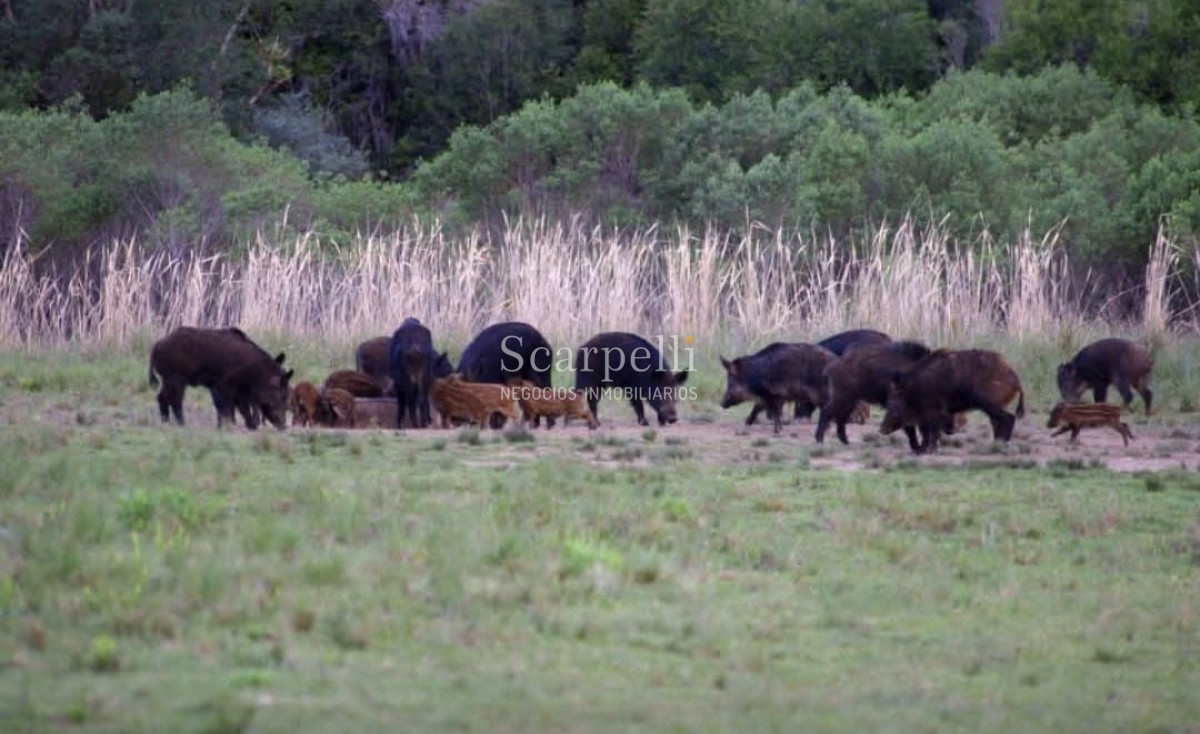 Campo Ref.50624 - Campo en Rural, 