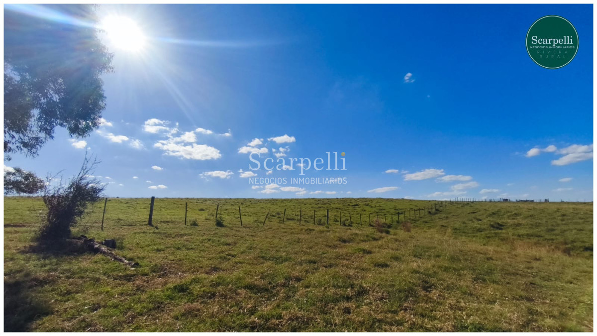 Campo Ref.50563 - Campo con costa al arroyo Yaguarí