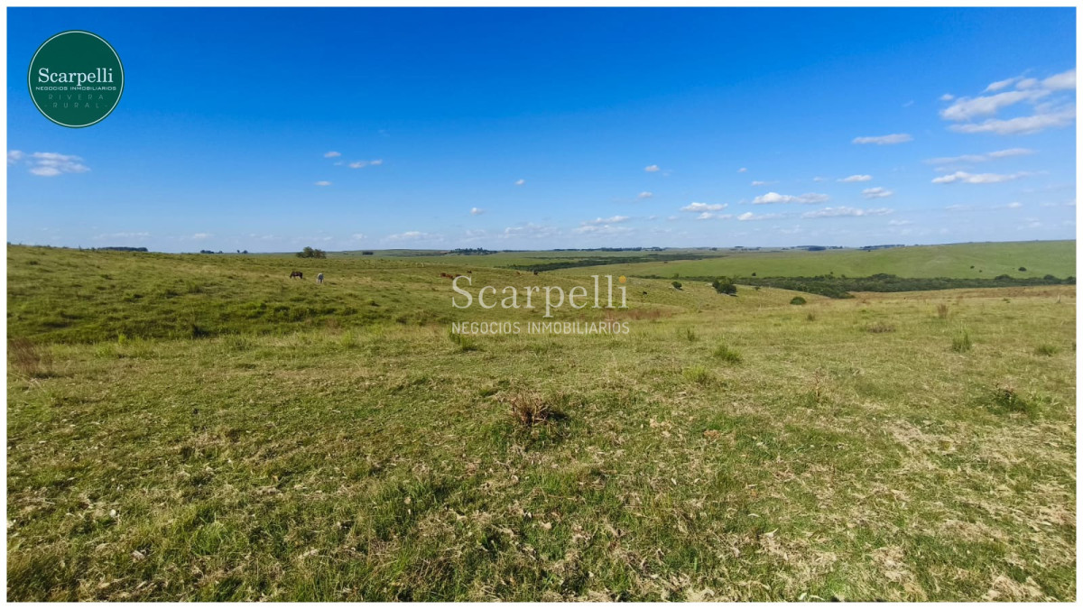 Campo Ref.50563 - Campo con costa al arroyo Yaguarí