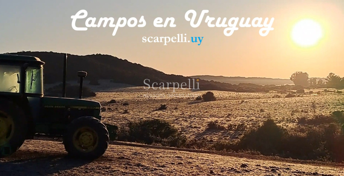 Campo Ref.50339 - Venta Campo Rivera Ruta 27  Cerros de la Calera 112 hás