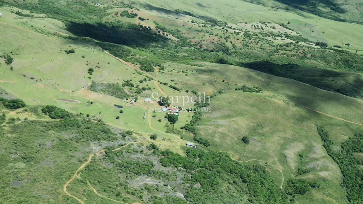 Campo Ref.50624 - Campo en Rural, 