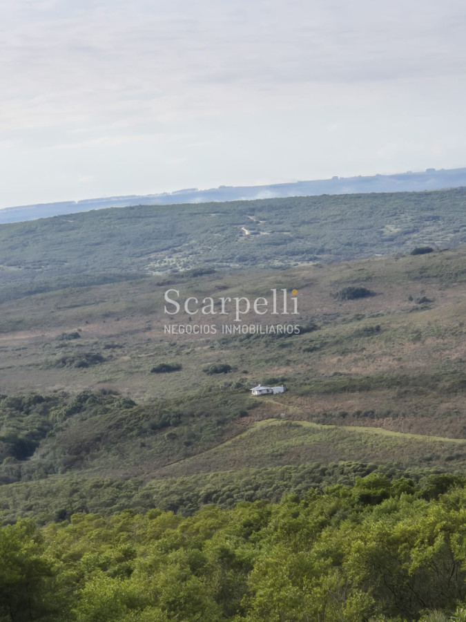 Campo Ref.50624 - Campo en Rural, 