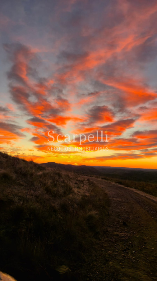 Campo Ref.50624 - Campo en Rural, 