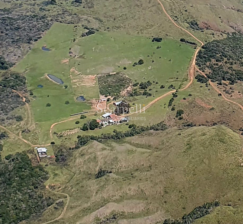 Campo Ref.50624 - Campo en Rural, 