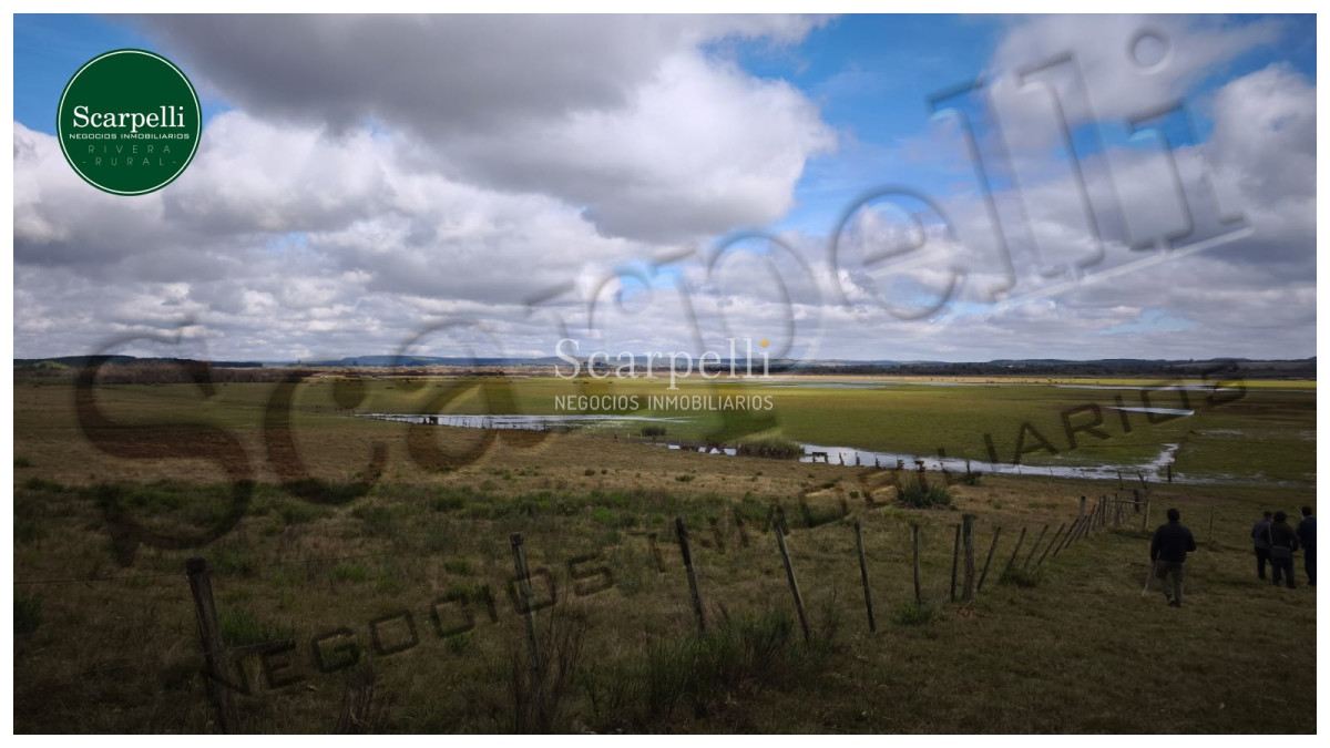 Campo Ref.50474 - VENTA CAMPO RIVERA 86 Hás Costa Rio Tacuarembó Ideal Cultivos Húmedos Arroz Soja etc.