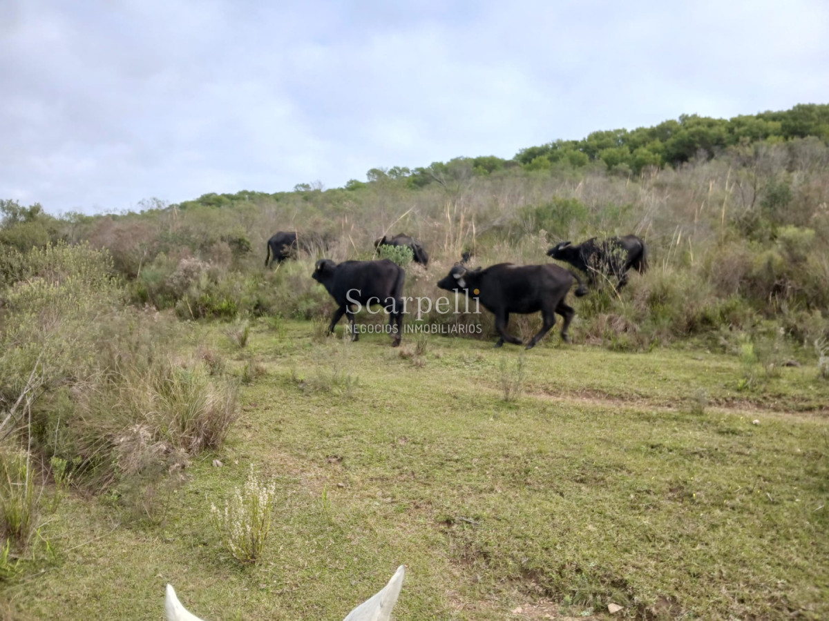 Campo Ref.50624 - Campo en Rural, 