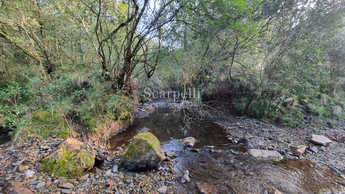 Campo Ref.50624 - Campo en Rural, 