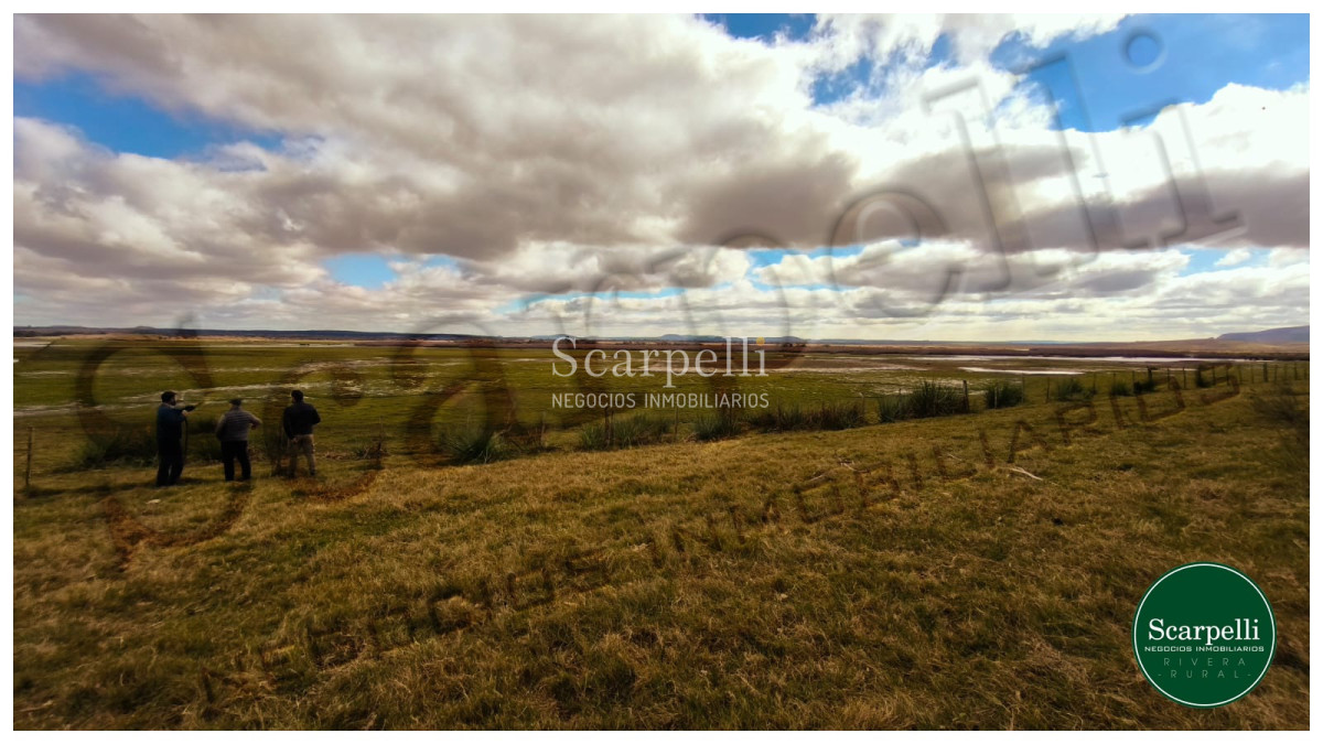 Campo Ref.50474 - VENTA CAMPO RIVERA 86 Hás Costa Rio Tacuarembó Ideal Cultivos Húmedos Arroz Soja etc.