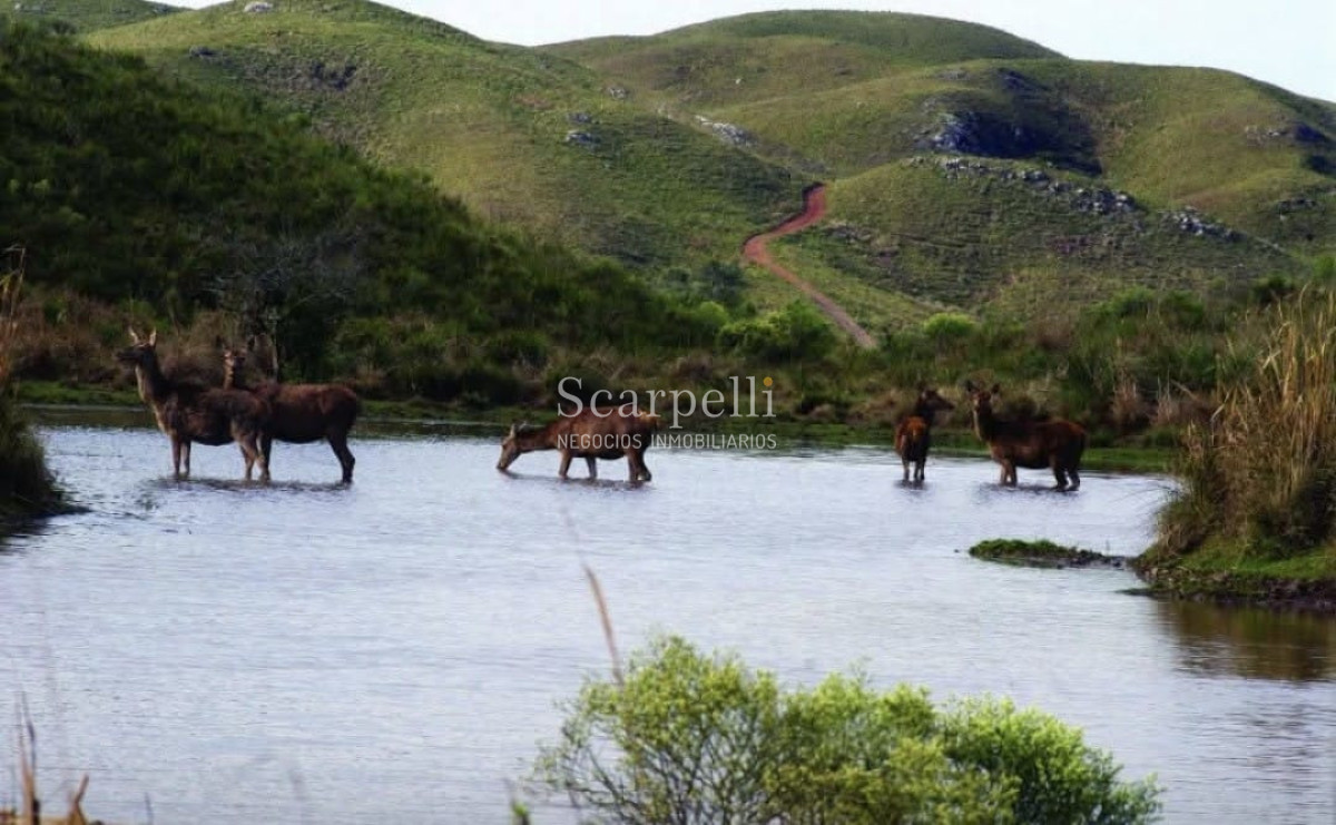 Campo Ref.50624 - Campo en Rural, 