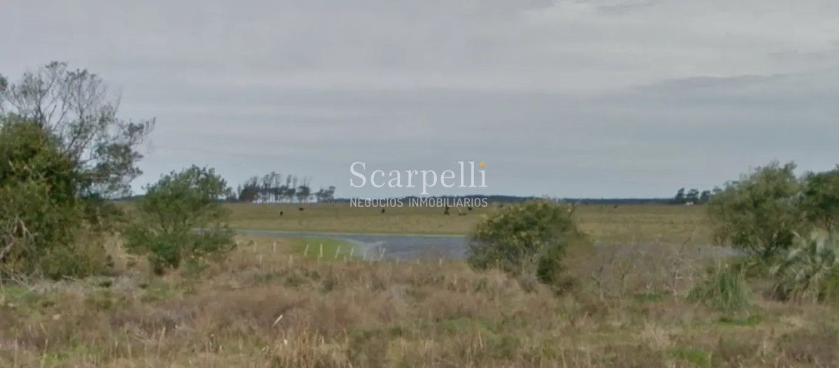 Campo Ref.50468 - Venta Campo Rocha Palmares de la Coronilla 425 hás oceánicas
