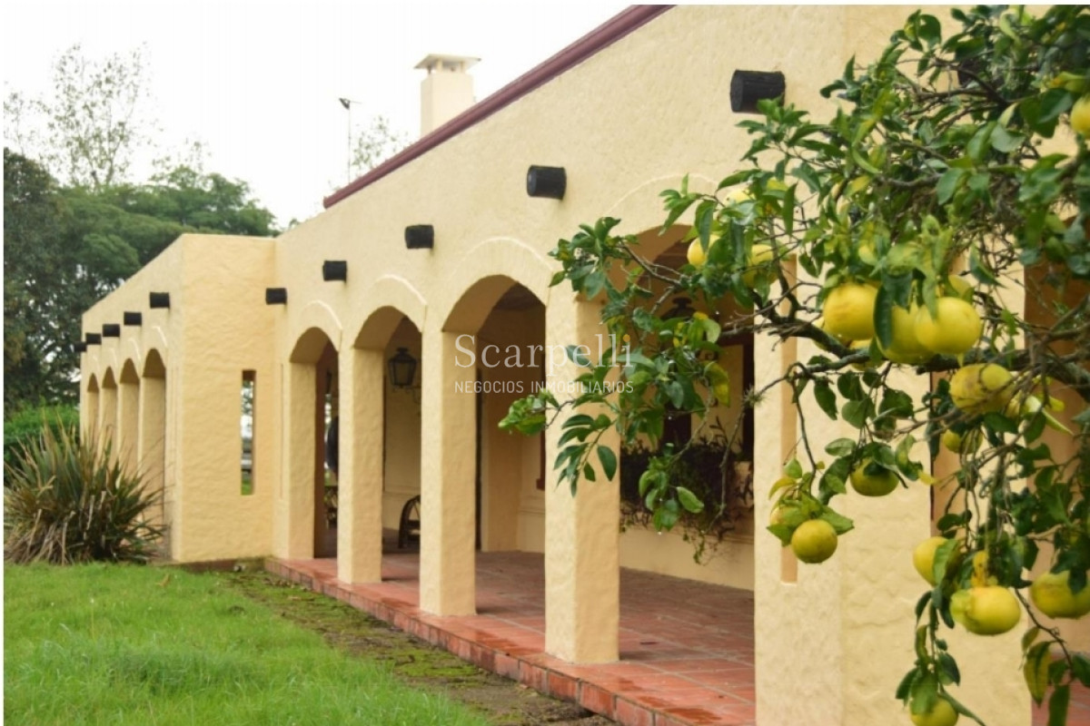 Campo Ref.24966 - Establecimiento Agrícola - Ganadero - Lechero-1432 hás  aprox.-Cardona - Colonia - Uruguay